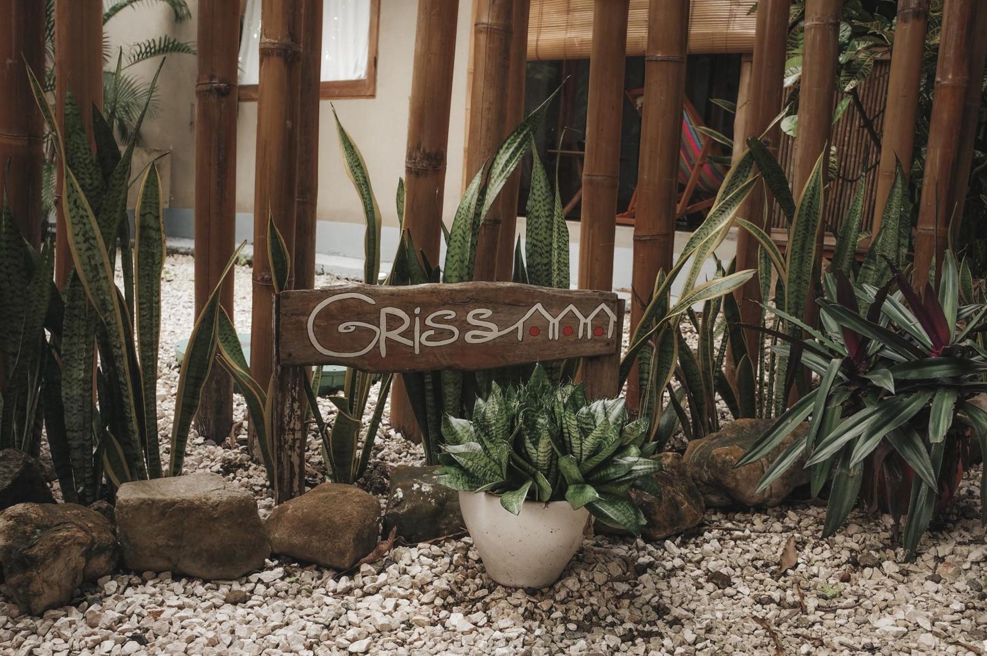 Griss Lodge & Spa Playa Santa Teresa  Εξωτερικό φωτογραφία